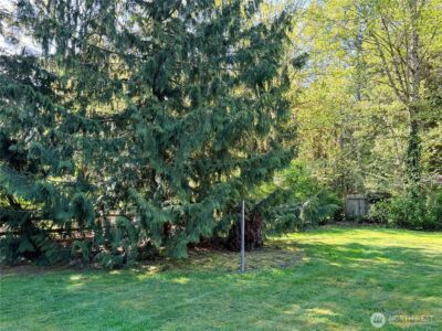 64220 NE 182nd Street , Baring, WA 98224 - Photo 8