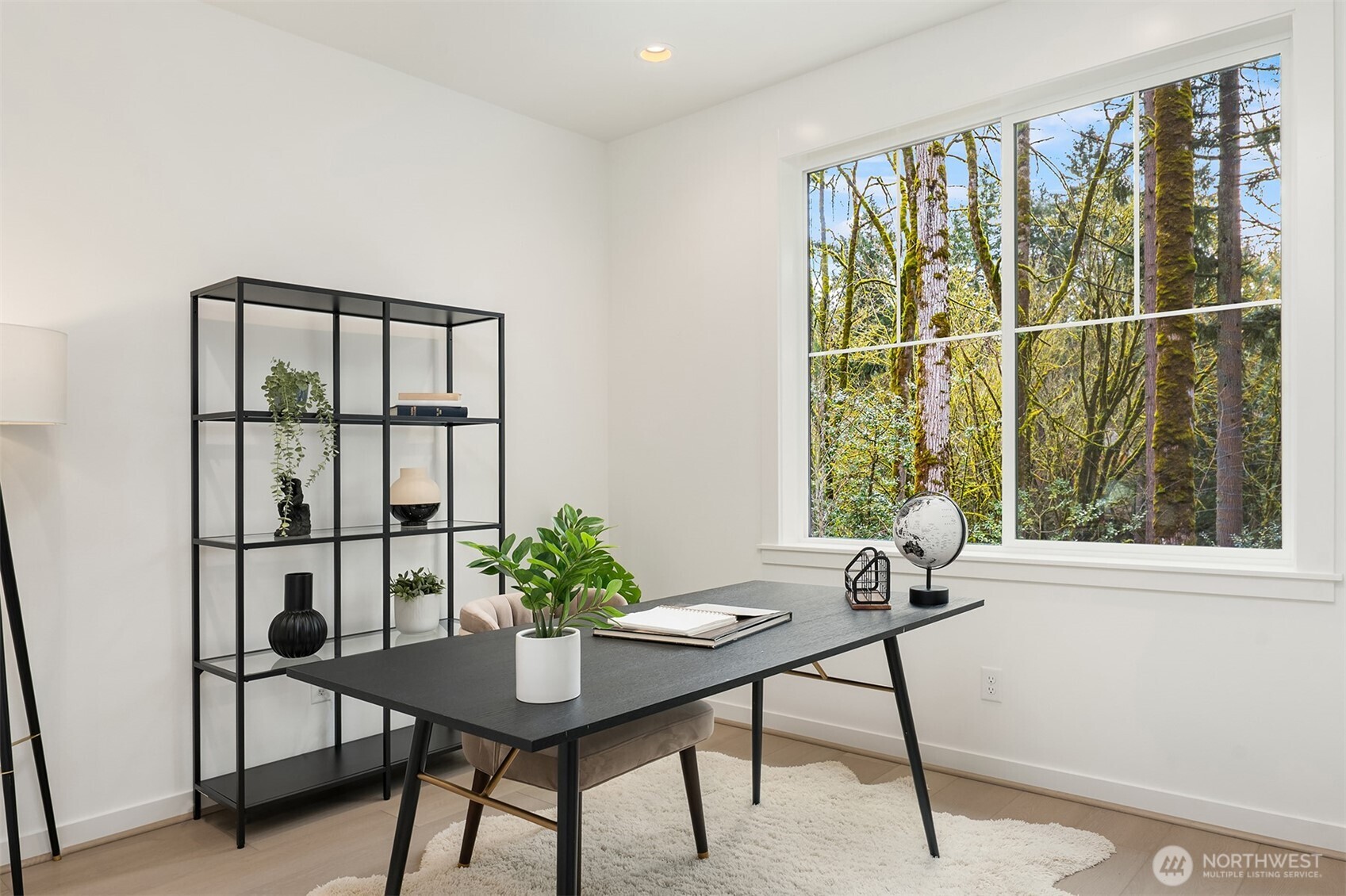 11170 (HS 24) NE 134th Court NE, Redmond, WA 98052