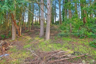 17810 Olympic View Drive , Edmonds, WA 98026 - Photo 3