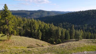 24 Greer Road , Oroville, WA 98859 - Photo 10