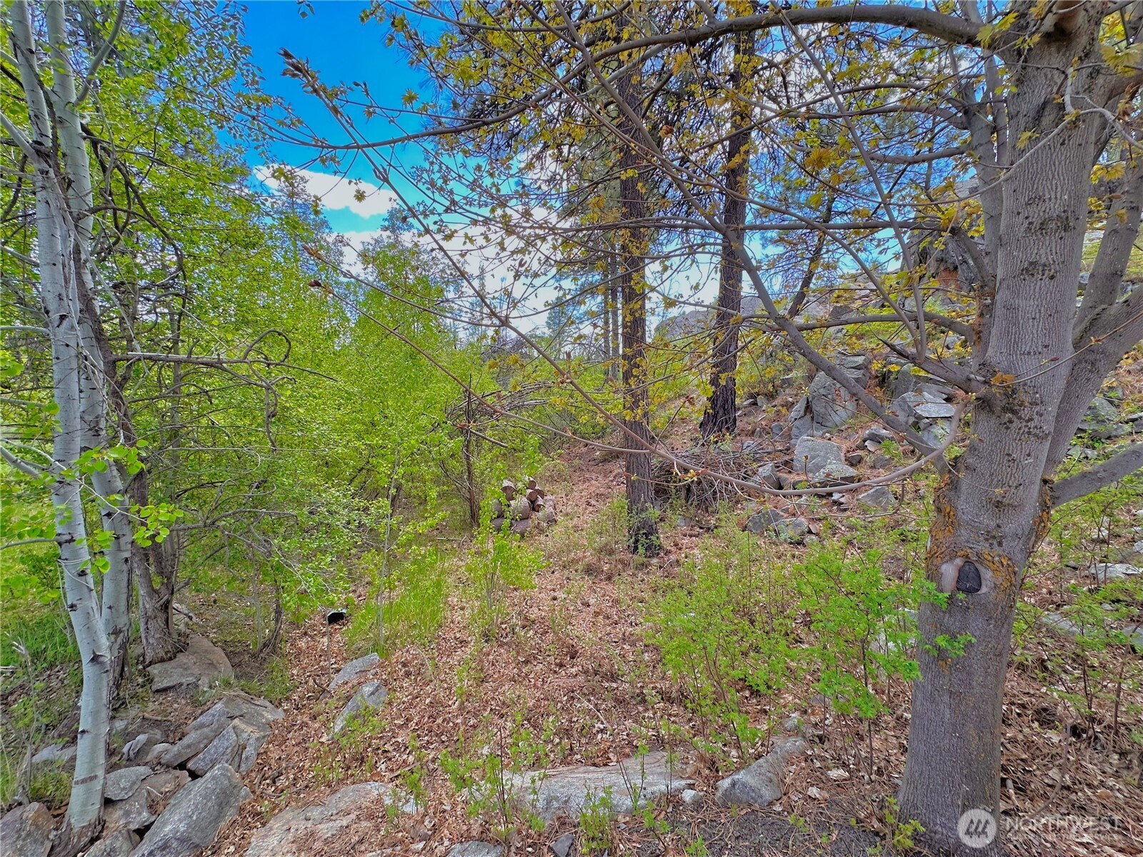 197 Cameron Lake Loop Road , Okanogan, WA 98840