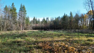 0 Jackson Hwy , Toledo, WA 98591