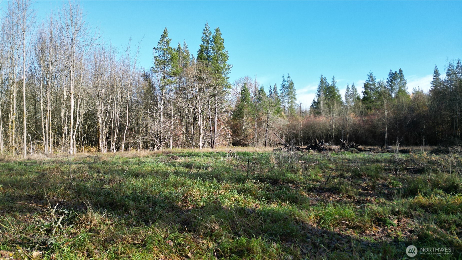 0 Jackson Hwy , Toledo, WA 98591