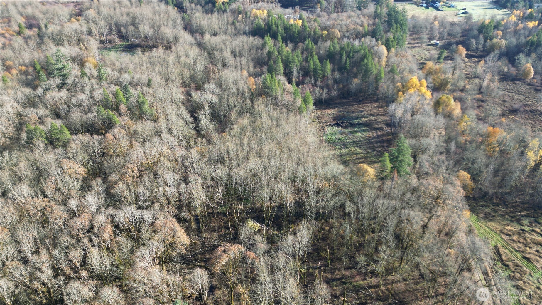 0 Jackson Hwy , Toledo, WA 98591