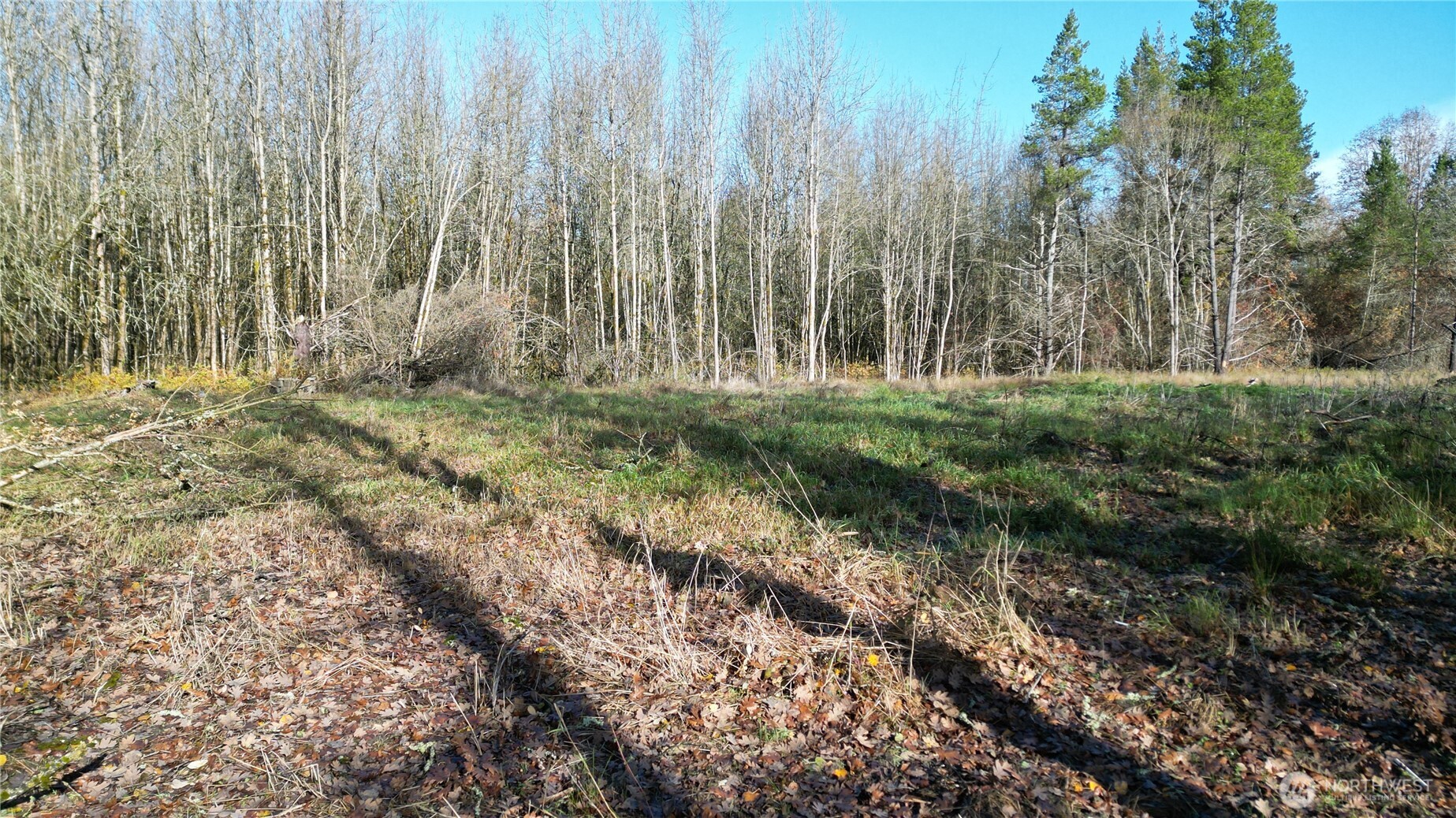 0 Jackson Hwy , Toledo, WA 98591