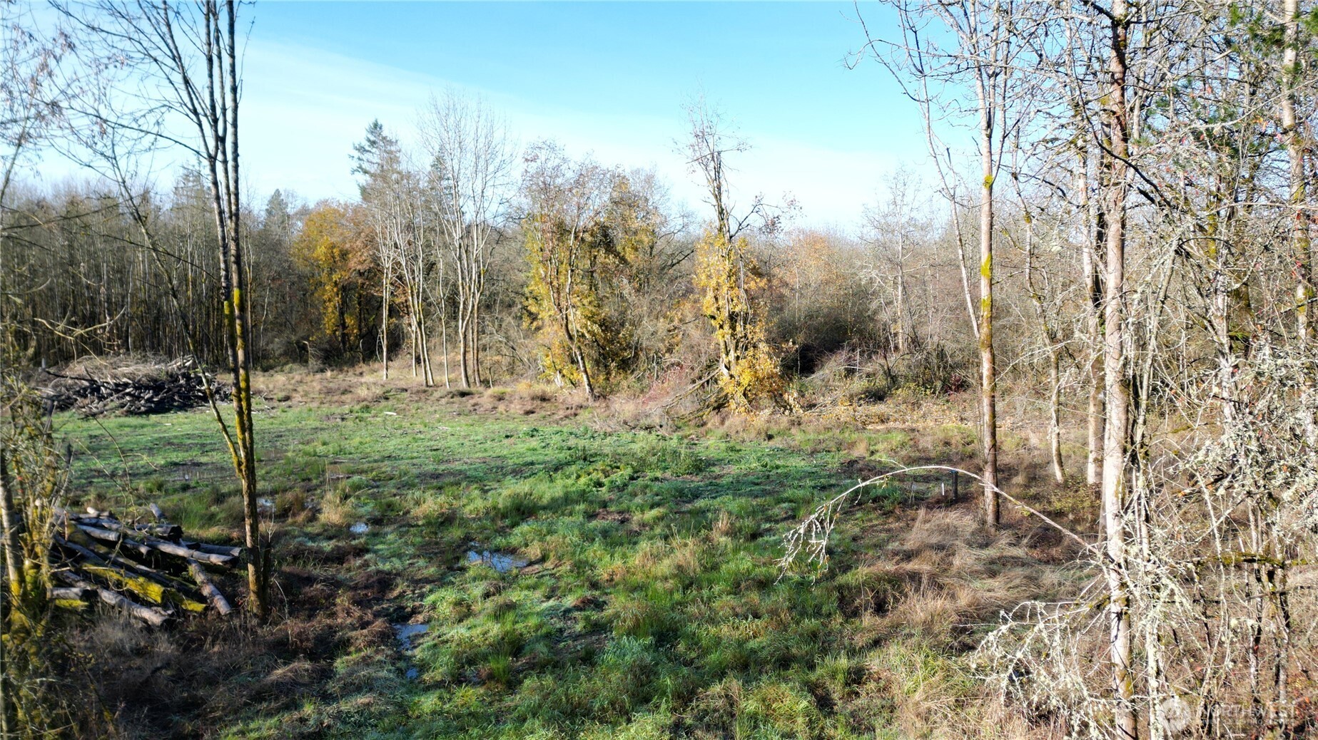 0 Jackson Hwy , Toledo, WA 98591