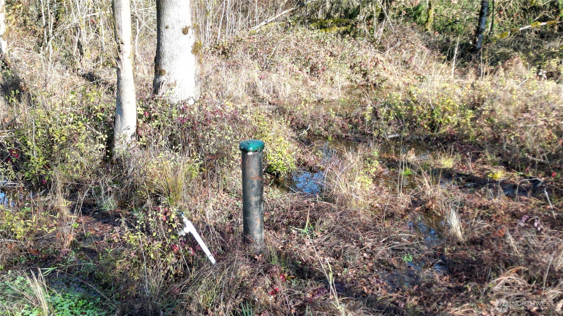 0 Jackson Hwy , Toledo, WA 98591