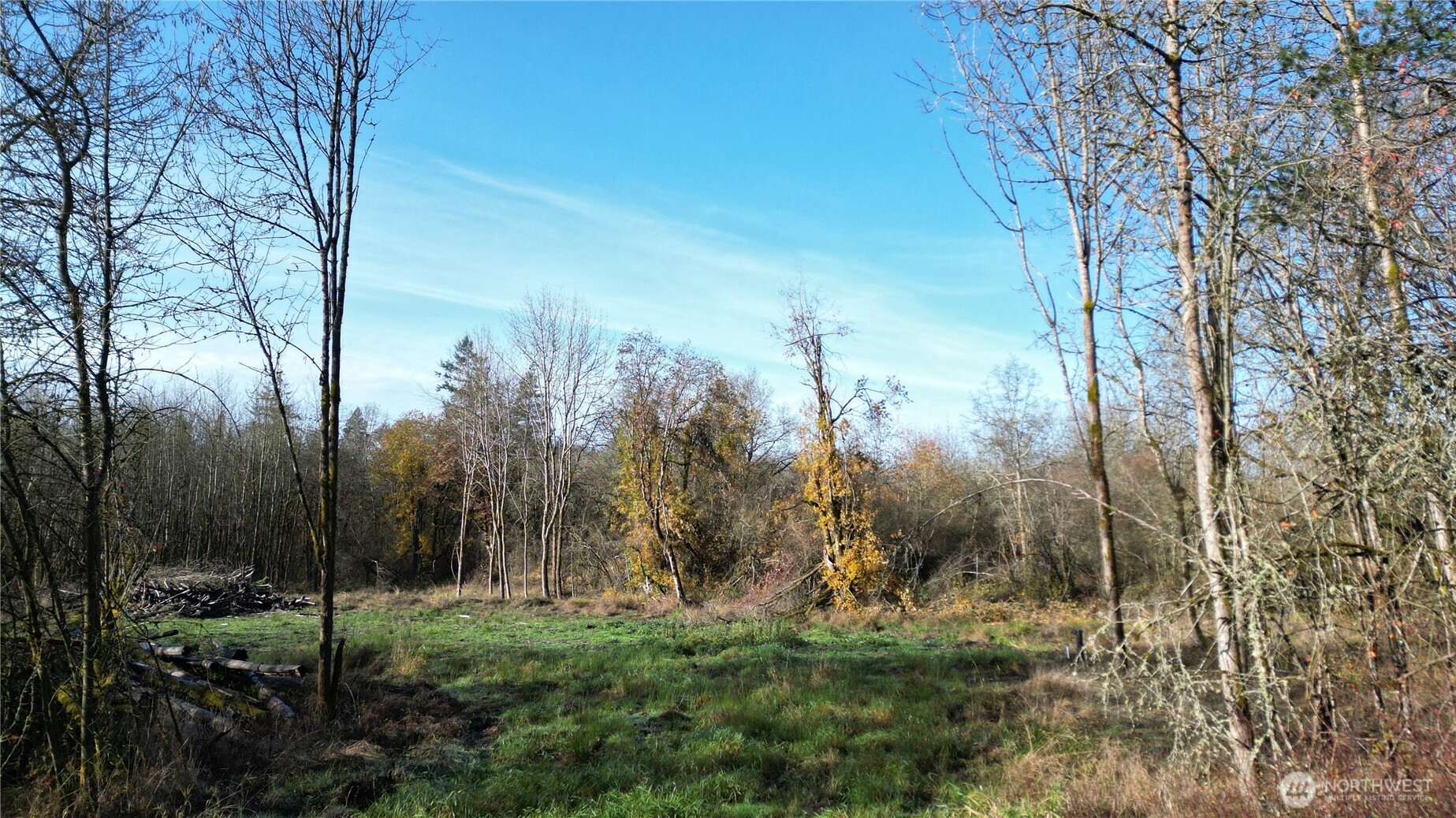 0 Jackson Hwy , Toledo, WA 98591