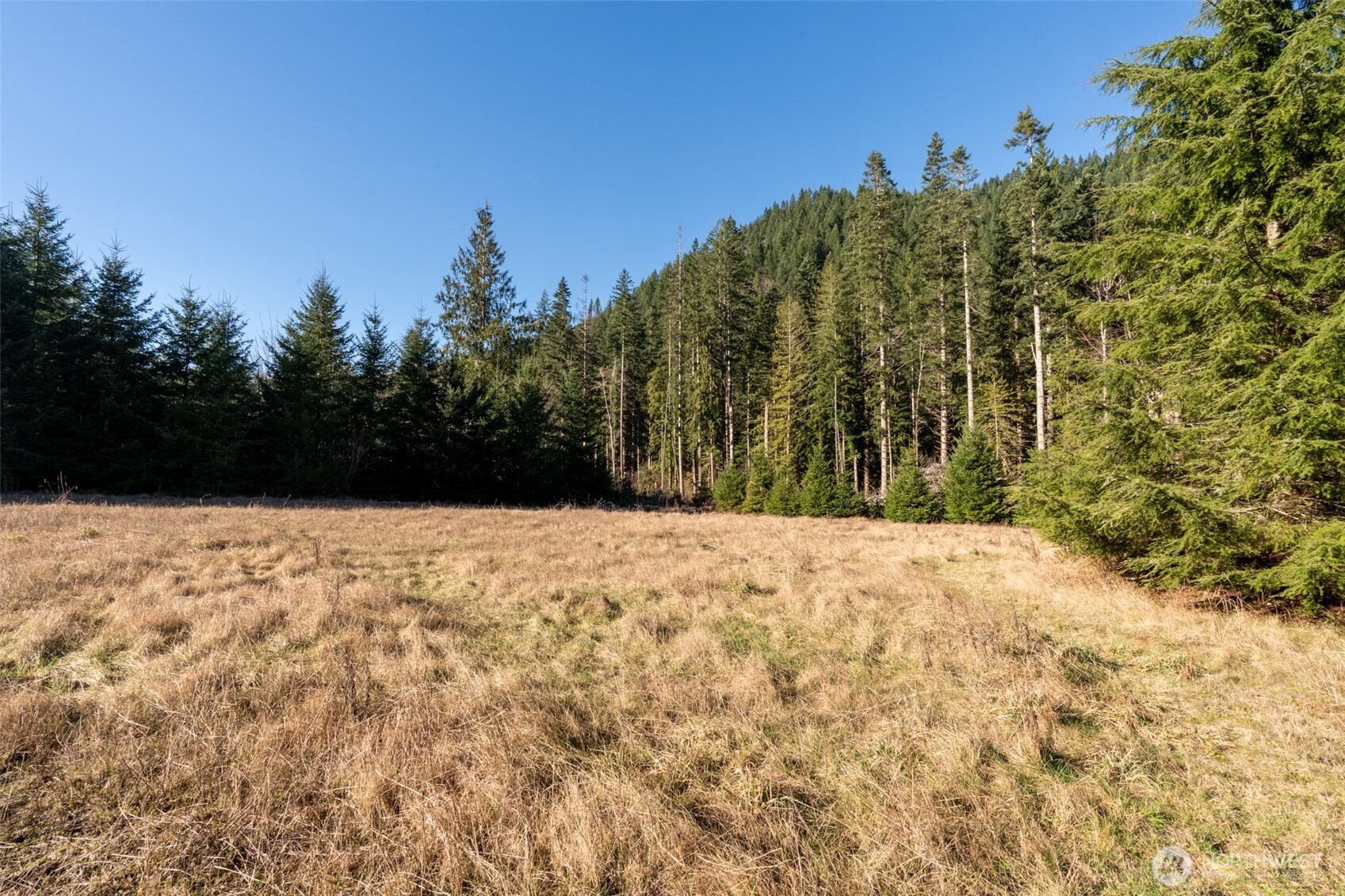 235437 Hwy 101 , Port Angeles, WA 98363