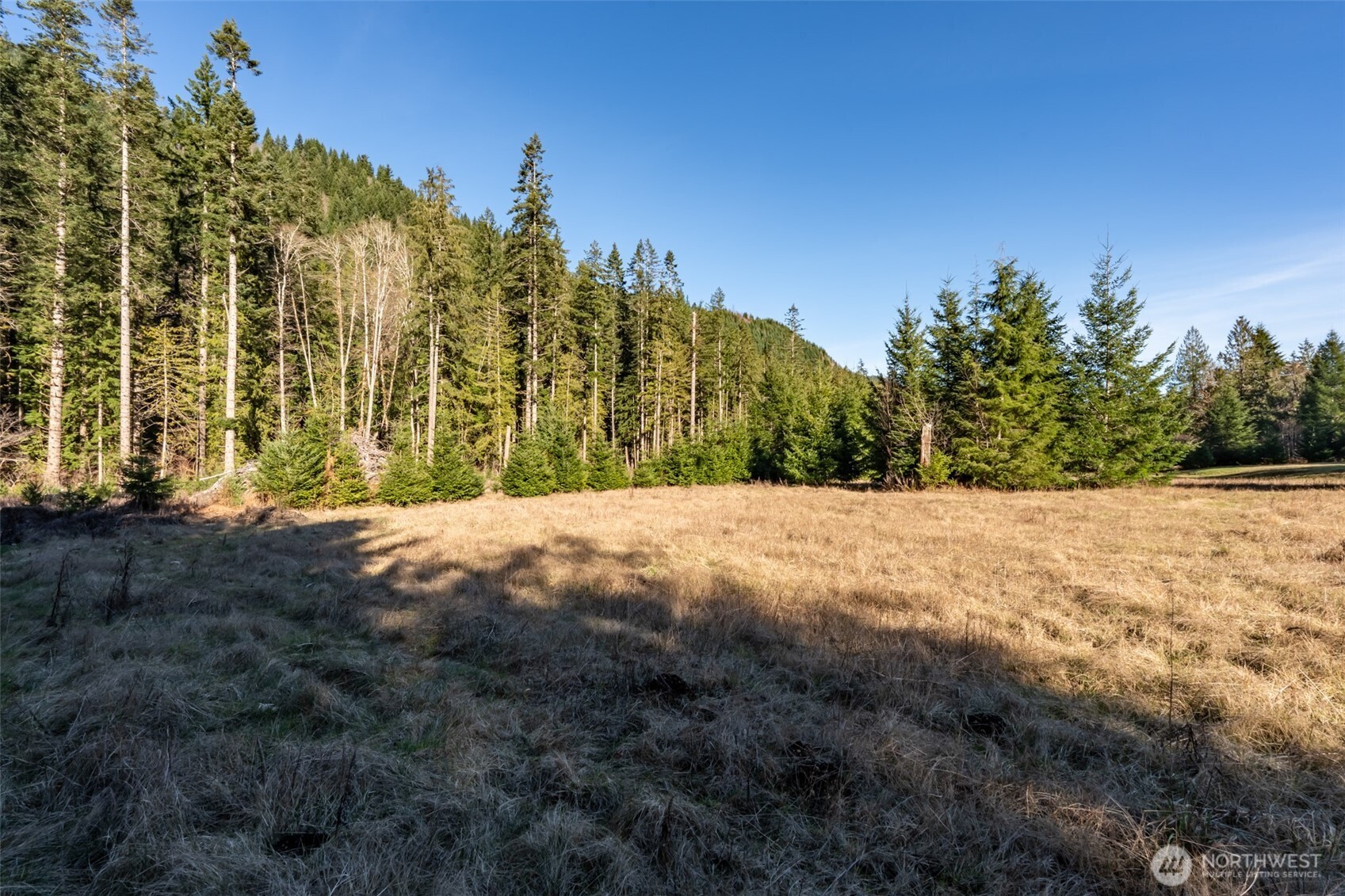 235437 Hwy 101 , Port Angeles, WA 98363
