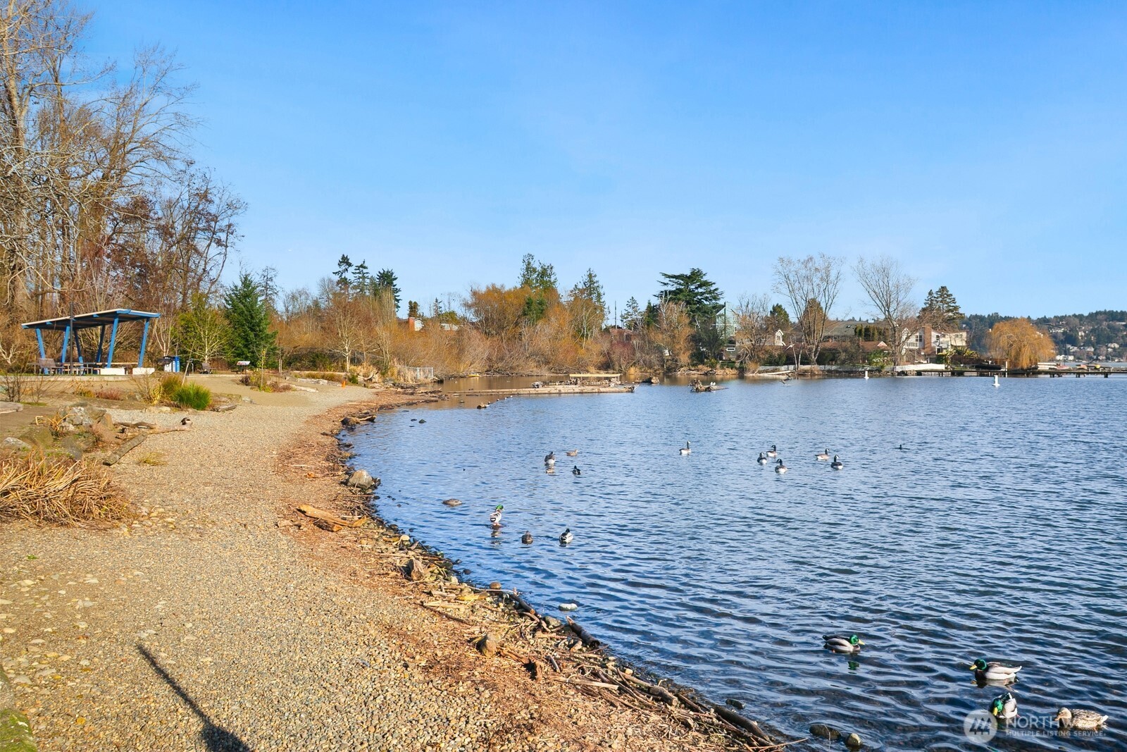 9030 Seward Park Avenue S #411, Seattle, WA 98118