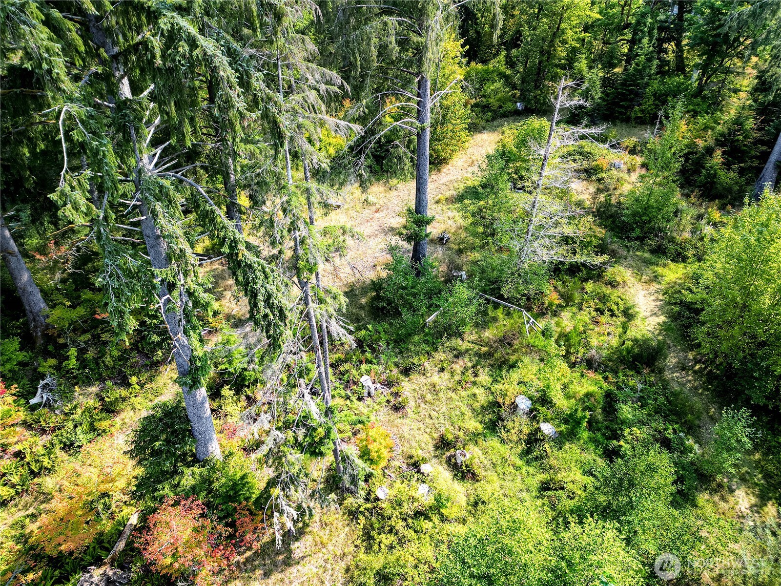 203503 Hwy 101 , Beaver, WA 98305