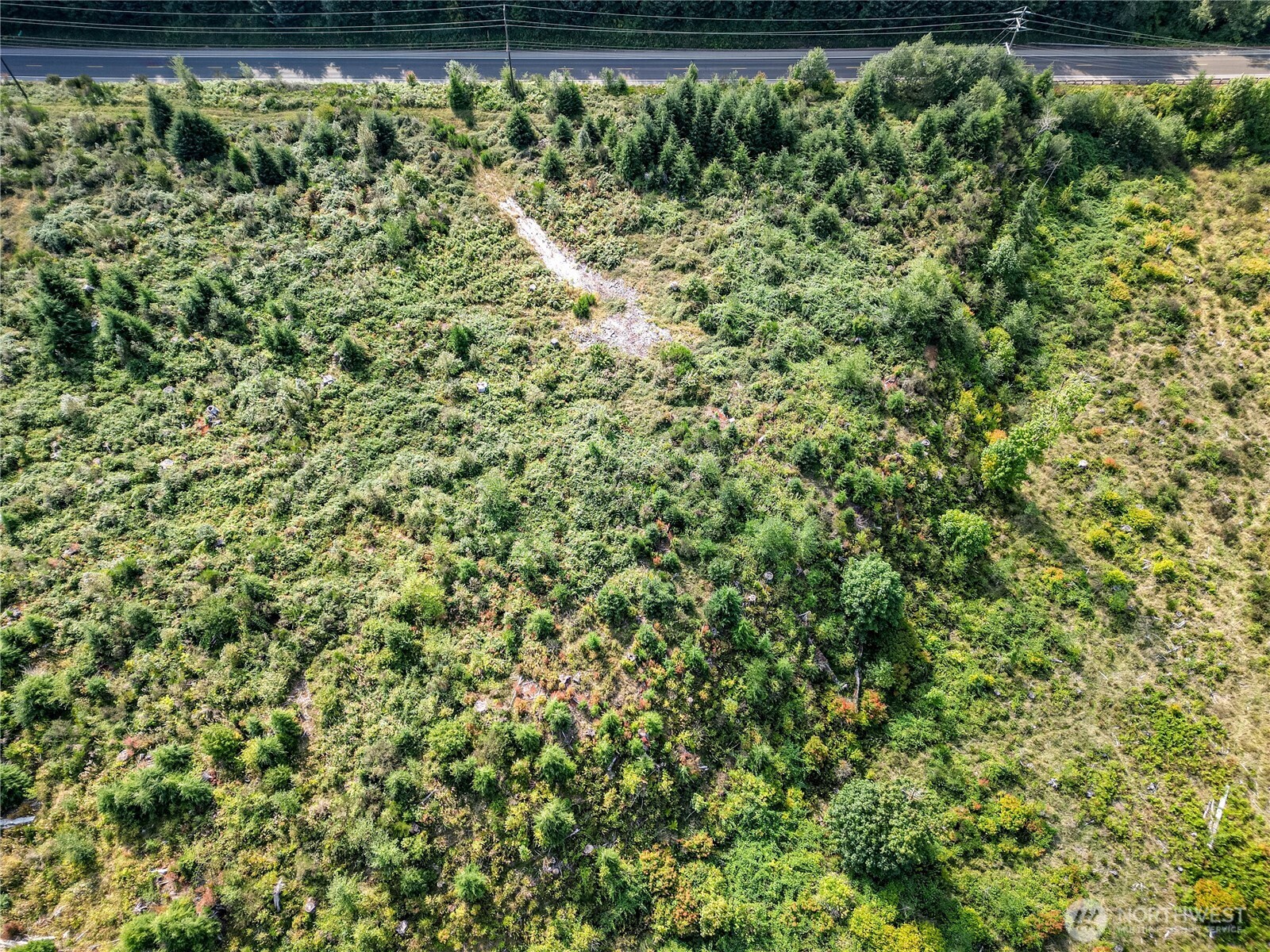 203503 Hwy 101 , Beaver, WA 98305