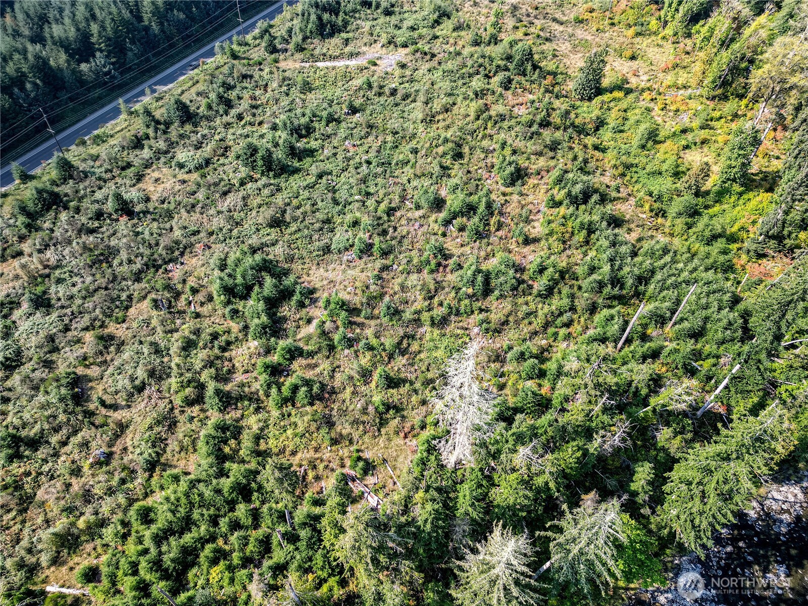203503 Hwy 101 , Beaver, WA 98305