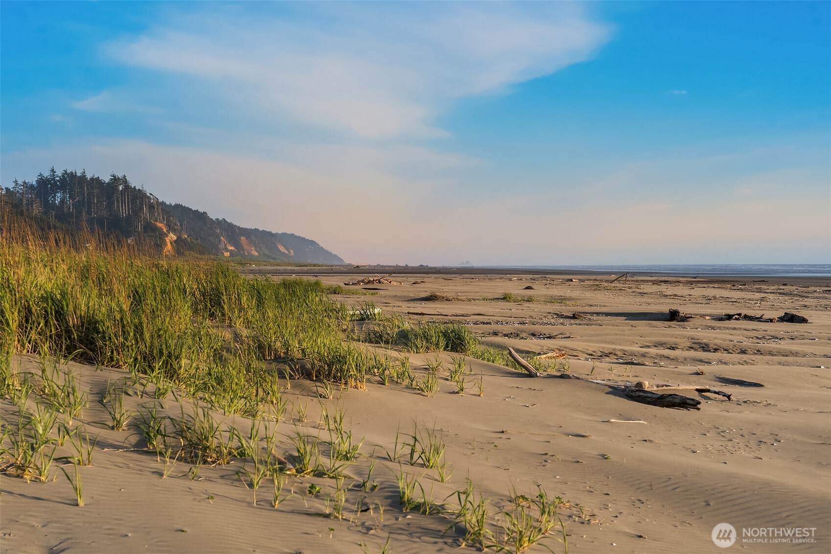 7 Lupine Lane , Pacific Beach, WA 98571