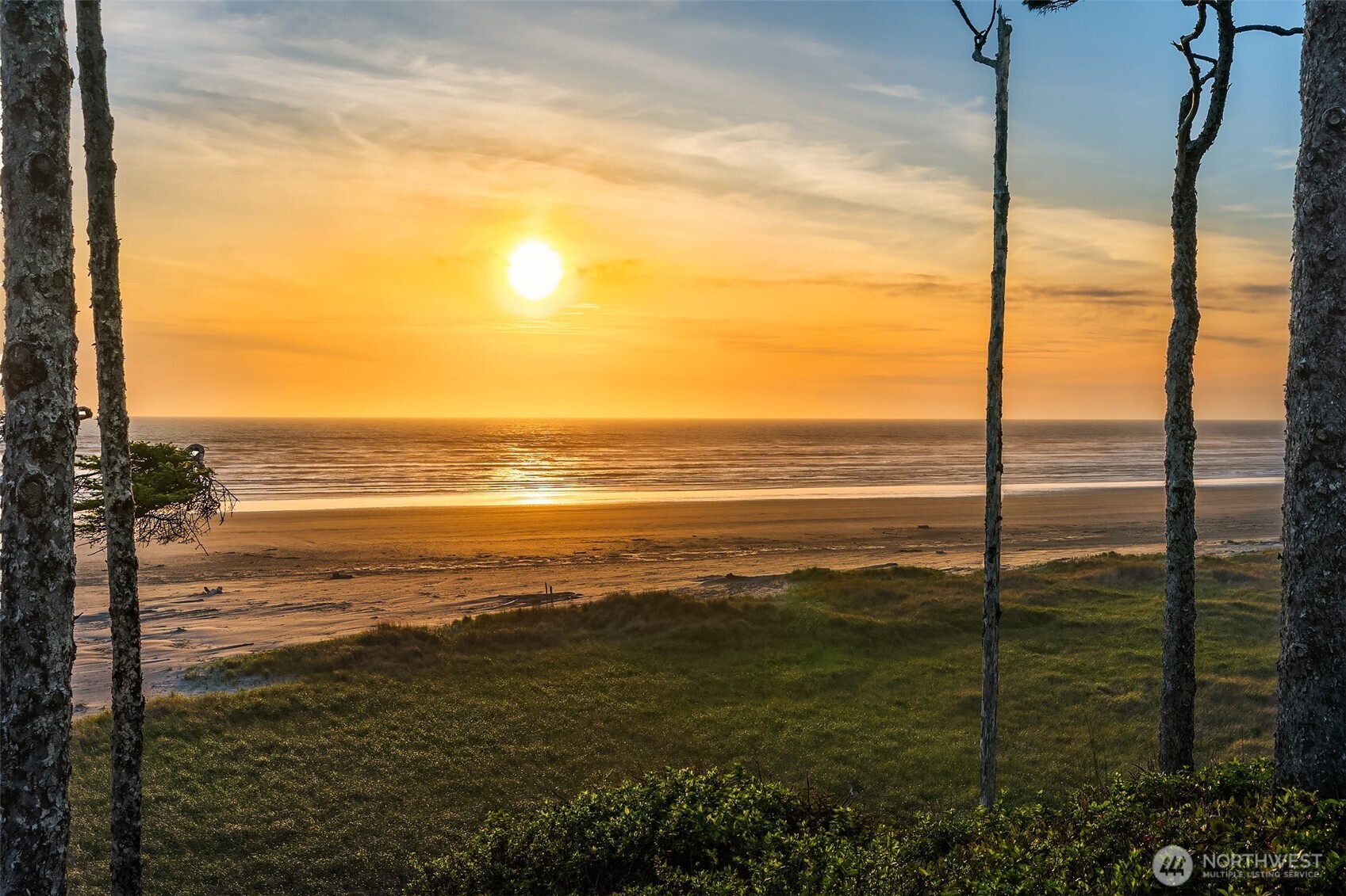 7 Lupine Lane , Pacific Beach, WA 98571