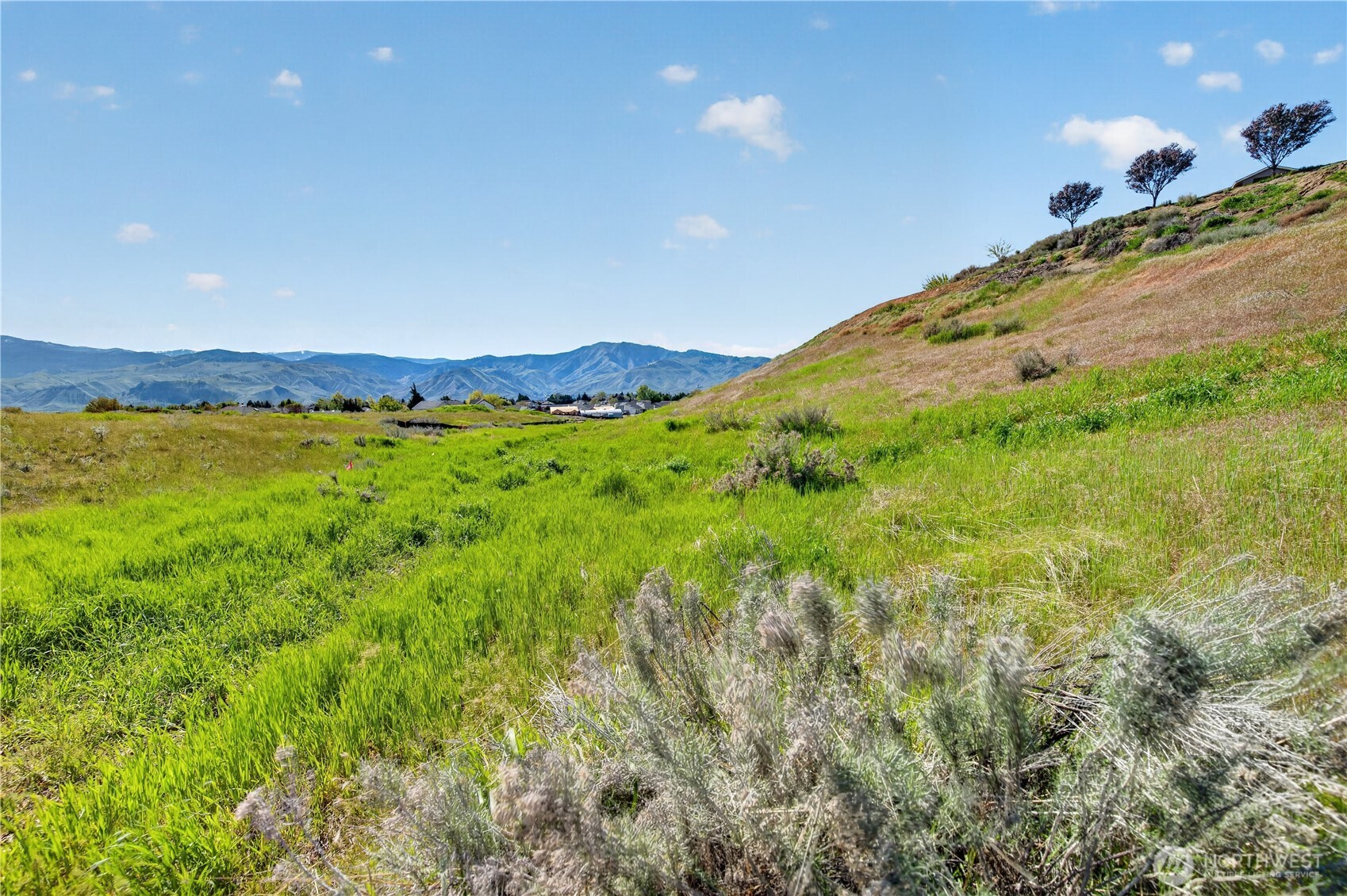 811 Shepherd Lane , East Wenatchee, WA 98802