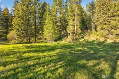 15906 River Road , Leavenworth, WA 98826 - Photo 11