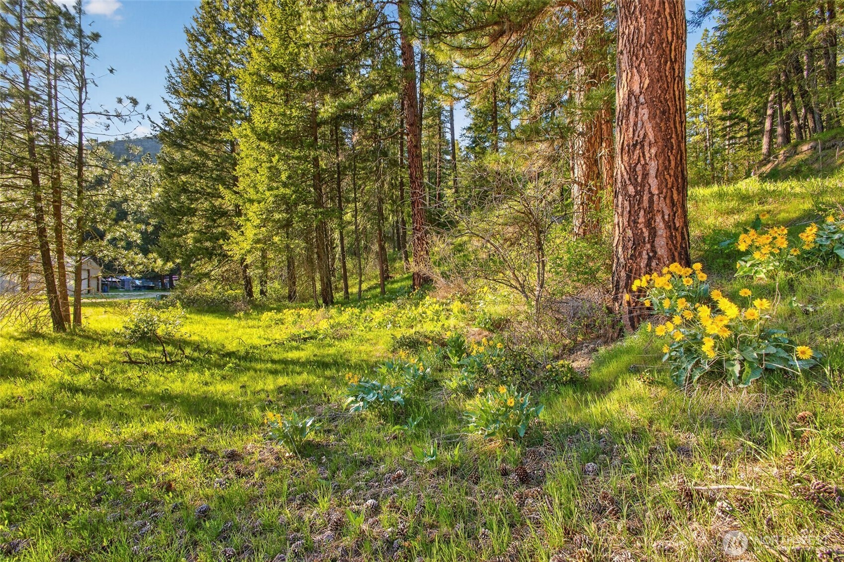 15906 River Road , Leavenworth, WA 98826