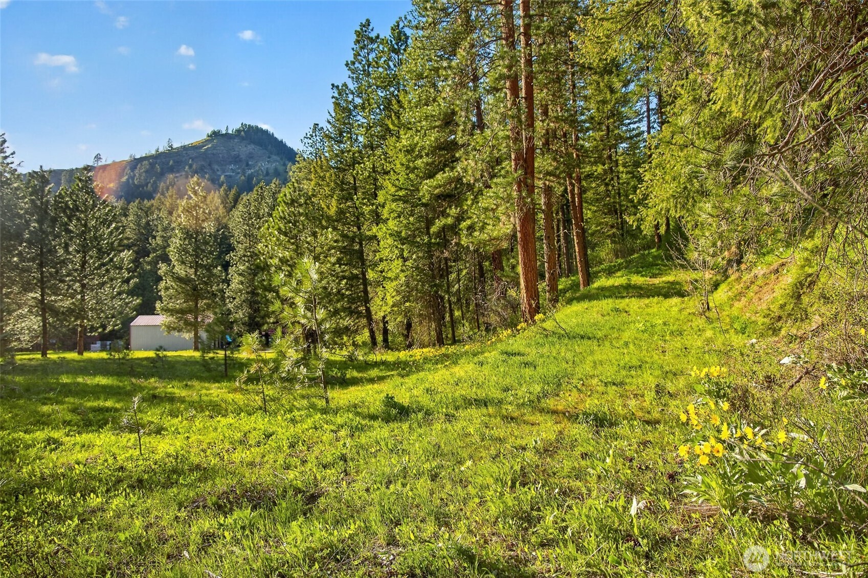 15906 River Road , Leavenworth, WA 98826