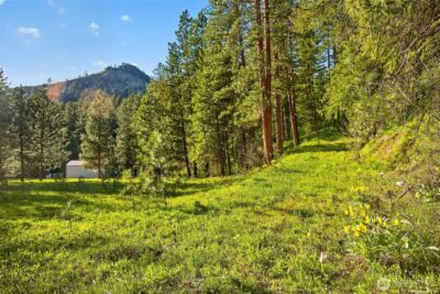 15906 River Road , Leavenworth, WA 98826 - Photo 15