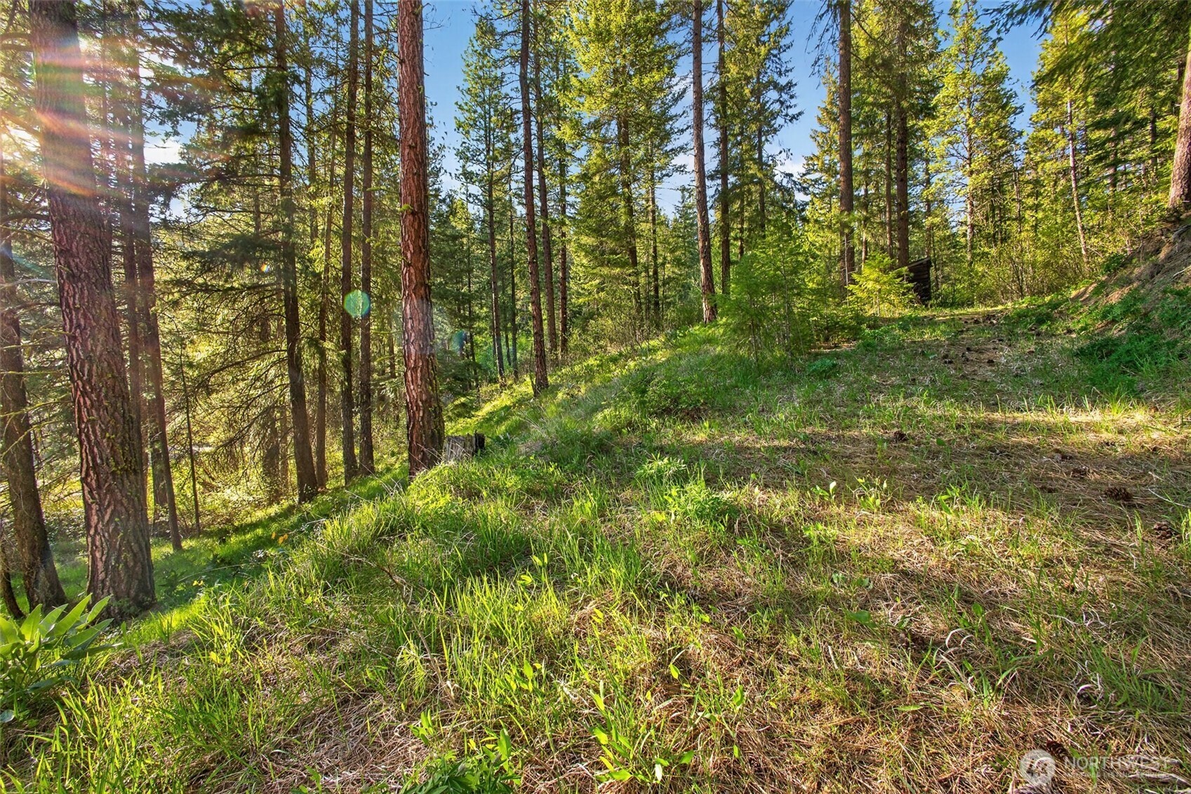 15906 River Road , Leavenworth, WA 98826