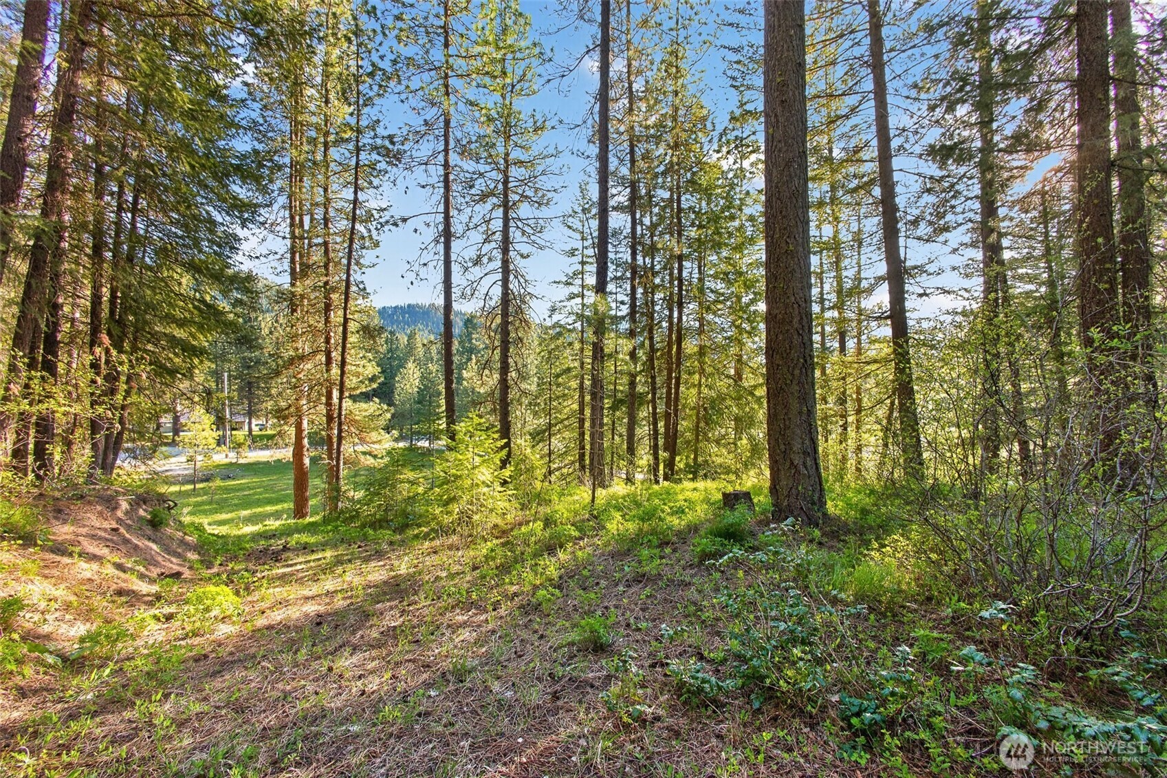 15906 River Road , Leavenworth, WA 98826