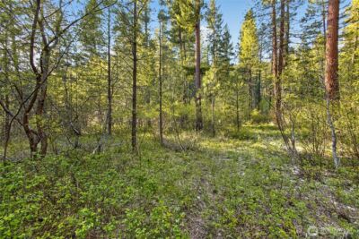 15906 River Road , Leavenworth, WA 98826 - Photo 20