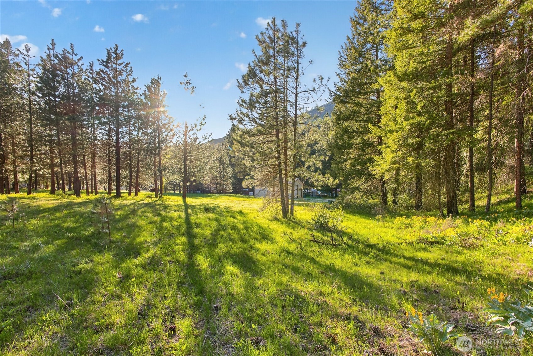 15906 River Road , Leavenworth, WA 98826
