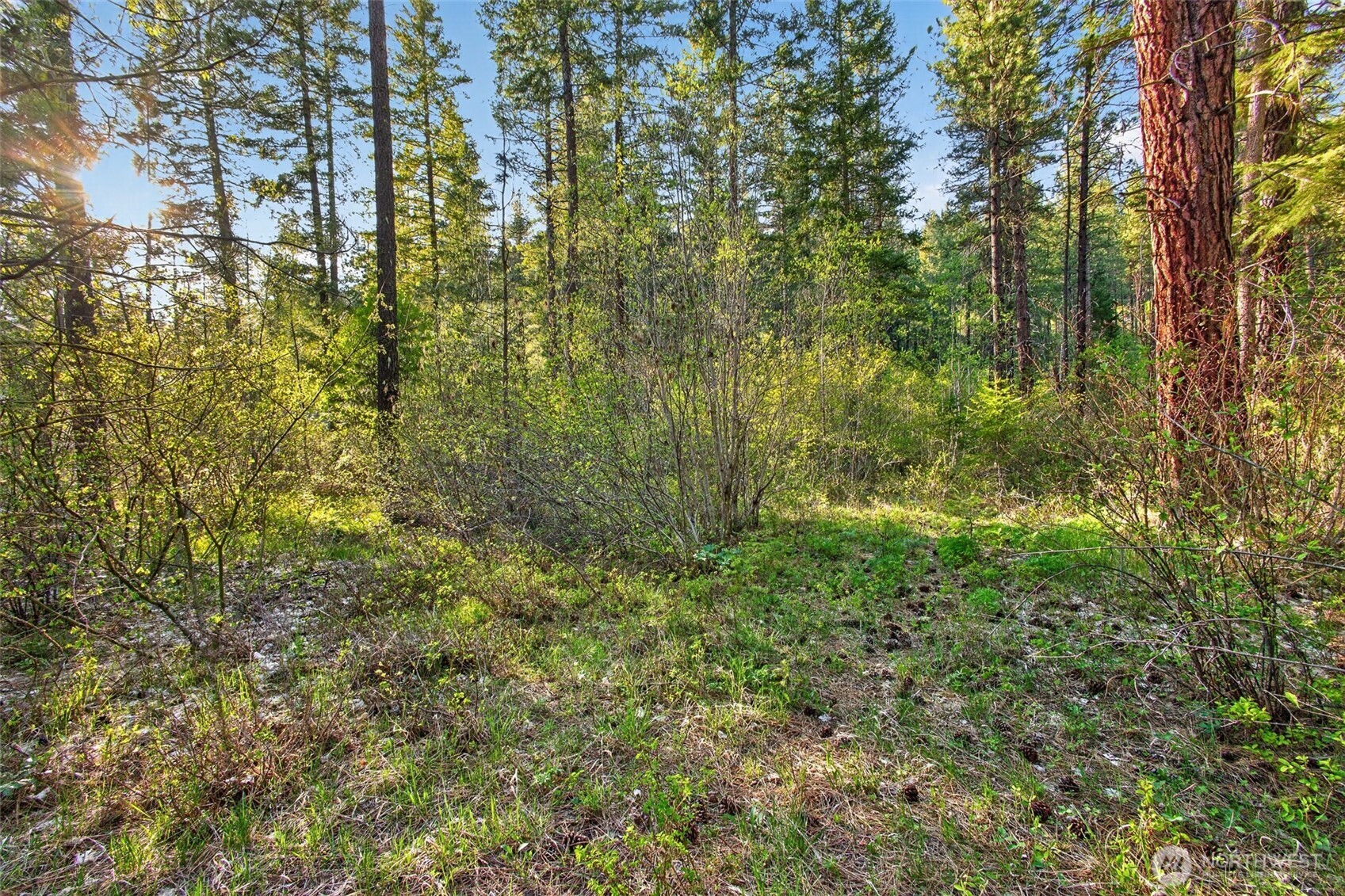 15906 River Road , Leavenworth, WA 98826