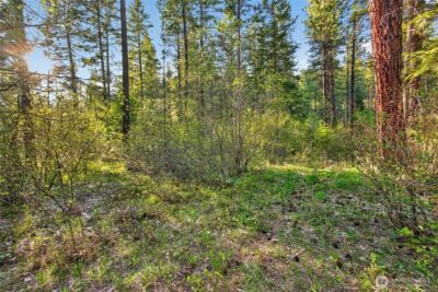 15906 River Road , Leavenworth, WA 98826 - Photo 21