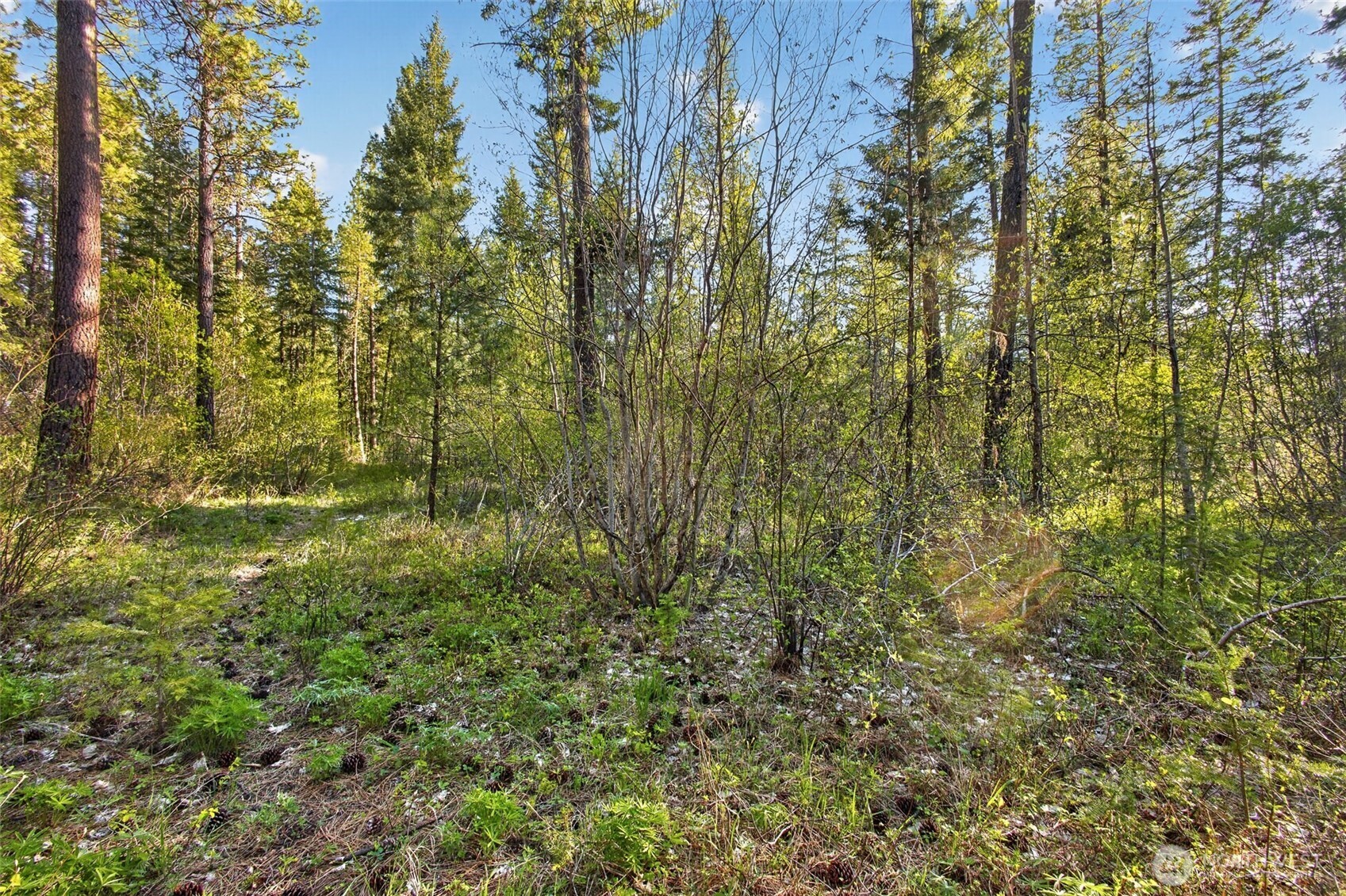 15906 River Road , Leavenworth, WA 98826
