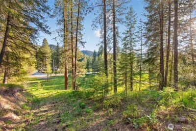 15906 River Road , Leavenworth, WA 98826 - Photo 23