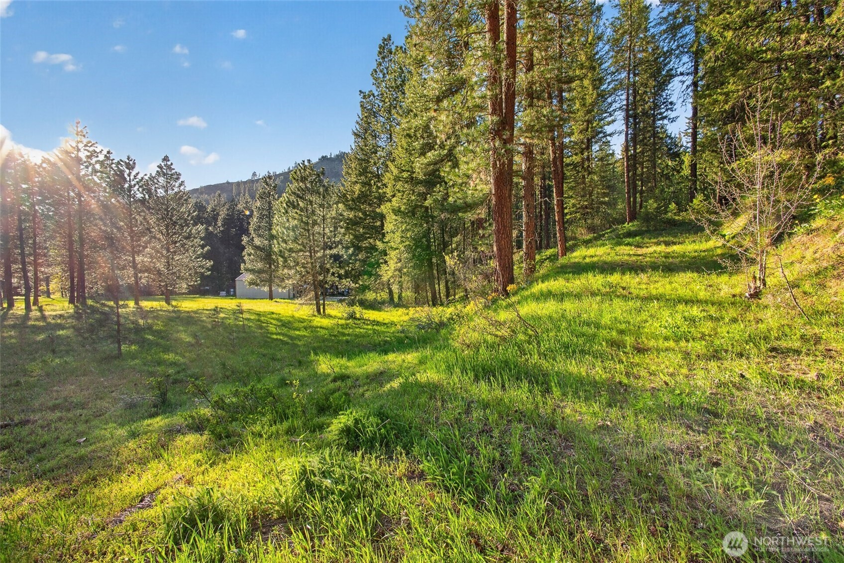 15906 River Road , Leavenworth, WA 98826