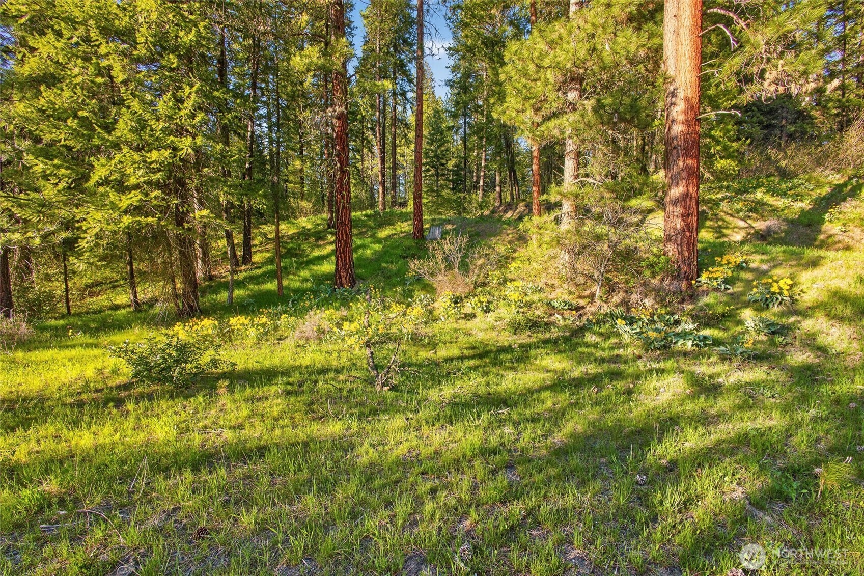 15906 River Road , Leavenworth, WA 98826