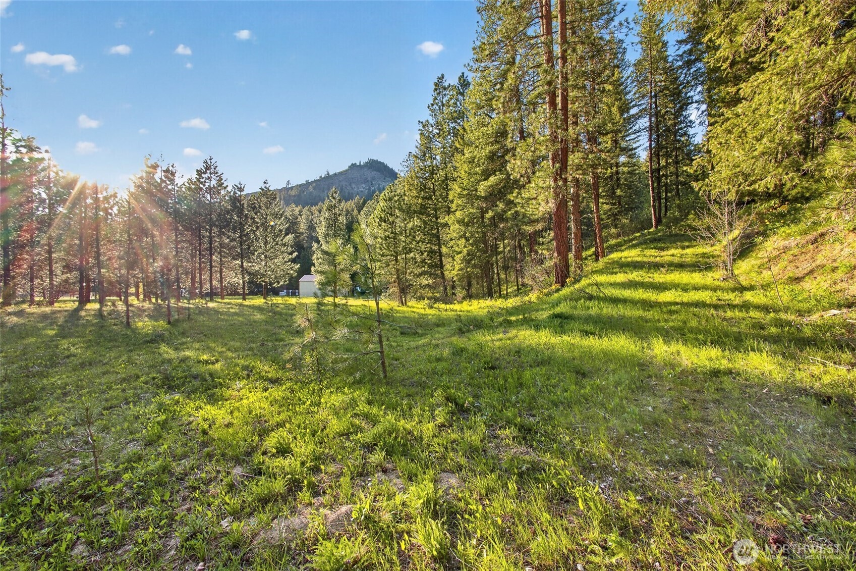 15906 River Road , Leavenworth, WA 98826