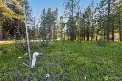 15906 River Road , Leavenworth, WA 98826 - Photo 28