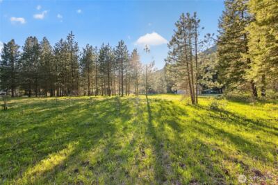 15906 River Road , Leavenworth, WA 98826 - Photo 4