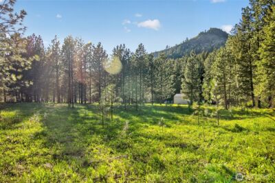 15906 River Road , Leavenworth, WA 98826 - Photo 5