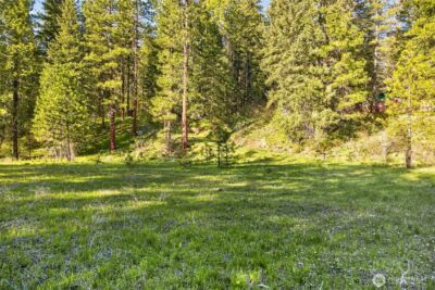 15906 River Road , Leavenworth, WA 98826 - Photo 7