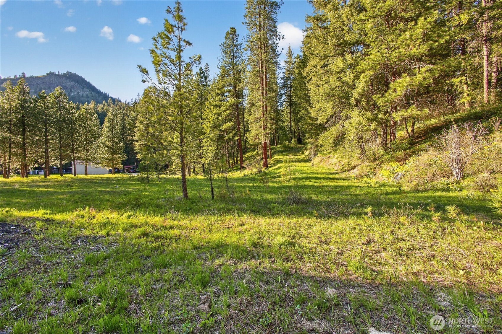 15906 River Road , Leavenworth, WA 98826