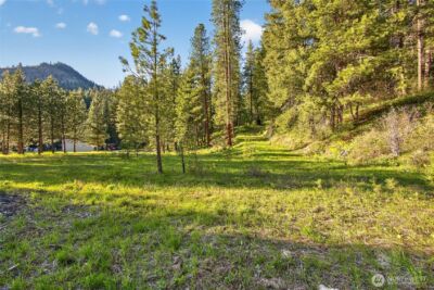 15906 River Road , Leavenworth, WA 98826 - Photo 10