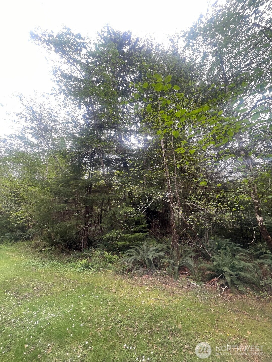 0 Lot 42 Bay Lane , South Bend, WA 98586