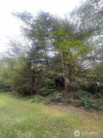 0 Lot 42 Bay Lane , South Bend, WA 98586