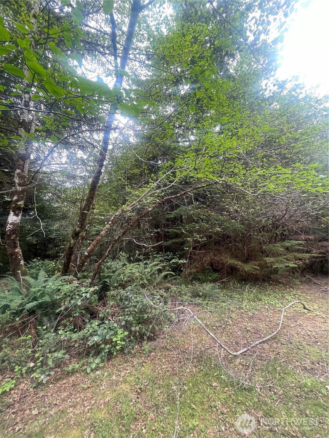 0 Lot 42 Bay Lane , South Bend, WA 98586