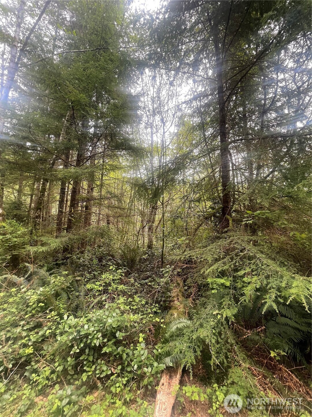 0 Lot 42 Bay Lane , South Bend, WA 98586