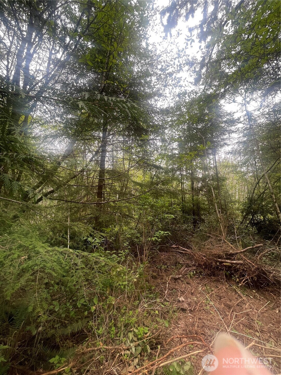 0 Lot 42 Bay Lane , South Bend, WA 98586