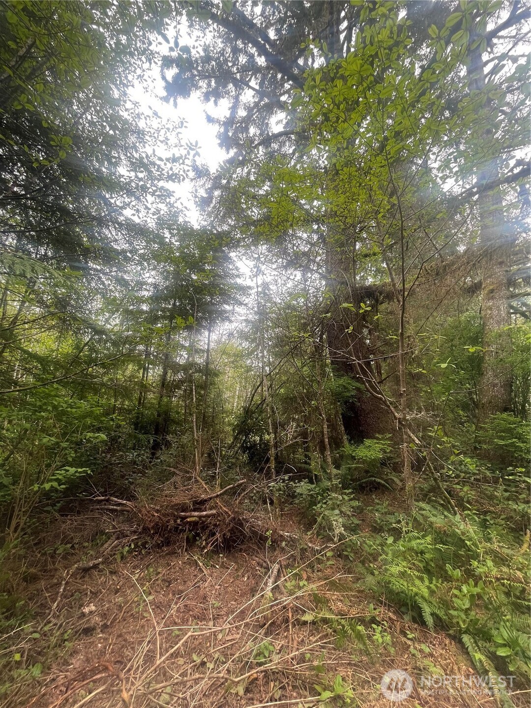 0 Lot 42 Bay Lane , South Bend, WA 98586