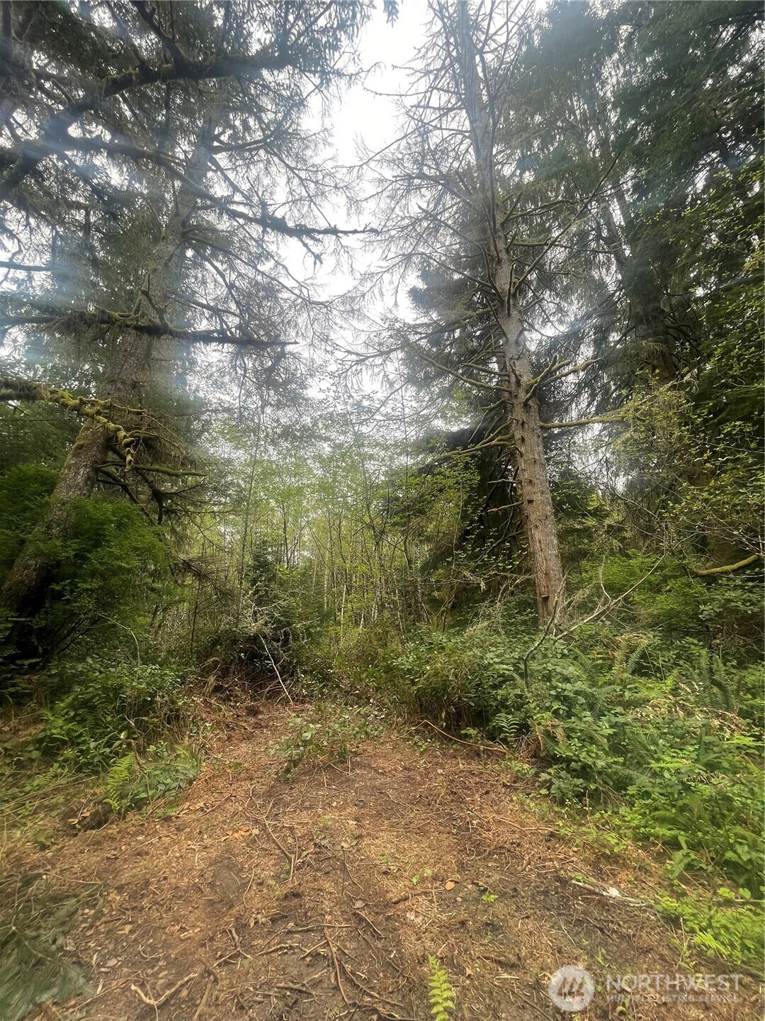 0 Lot 42 Bay Lane , South Bend, WA 98586