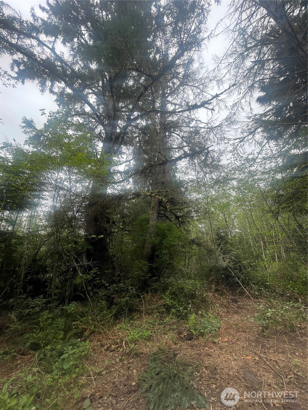 0 Lot 42 Bay Lane , South Bend, WA 98586